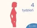 Sylwetka kobiety z zaznaczonym zarodkiem w macicy. Obok widnieje napis "4 tydzień ciąży".