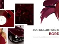 Kolekcja inspiracji: pikowany materiał, płyta winylowa, guziki, szminki, kobieta w sukience i samochód – wszystko w odcieniach koloru bordowego.