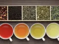 Six variétés de thés en vrac dans des compartiments, avec quatre tasses de thé infusé. Savoir combien de temps se conserve le thé en vrac est essentiel pour en apprécier la saveur.