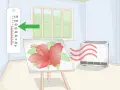 Un tableau de fleur d'hibiscus sur un chevalet, un thermomètre indiquant 70°F et un appareil soufflant de l'air chaud pour accélérer le temps de séchage de la peinture à l'huile.