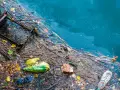 Plastikowe butelki, torby i śmieci unoszą się na wodzie, ilustrując przyczyny zanieczyszczenia Bałtyku.