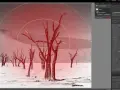 Arbres morts dans un désert, avec un filtre radial lightroom appliqué pour un effet dramatique.