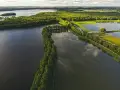 Rezerwat przyrody Stawy Milickie: Odkryj unikalną przyrodę i atrakcje