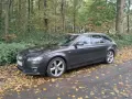 Dunkelgrauer Audi A4 Avant 2008 parkt im Herbstwald, umgeben von Laub.