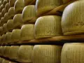 Siatki kręgów sera Parmigiano Reggiano, gotowe do dojrzewania. Ile po otwarciu? To pytanie zadaje sobie każdy miłośnik tego włoskiego specjału.