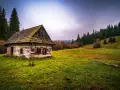 Ile kosztuje przeniesienie domu z bali? Sprawdź ukryte koszty!