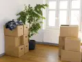 Umzugskartons stapeln sich in einem Zimmer, bereit für den Einzug in Hamburg. Ein grüner Ficus und ein Fenster mit Blick nach draußen.