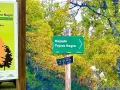 Cartel de bienvenida al Hayedo de Tejera Negra, Patrimonio Mundial de la UNESCO. Señalización de senderos en un bosque otoñal.