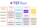Diagrama del examen en francés (TEF) con sus diferentes módulos: Integración, Canadá, Quebec, Estudios y Público General.