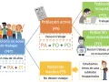 Diagrama explica la población inactiva (PI) como aquella que no desea trabajar, incluyendo estudiantes, amos de casa, jubilados e incapacitados.
