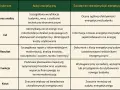 Tabela porównująca audyt energetyczny i świadectwo charakterystyki energetycznej. Audytor czyste powietrze analizuje koszty i efektywność.
