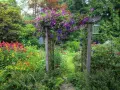 Ein Holzbogen, üppig mit lila Clematis bewachsen, markiert den Eingang zu einem blühenden Garten. Ein Vogelhaus und eine Laterne zieren den Bogen.