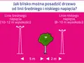 Ilustracja porównuje odległości sadzenia drzew od różnych rodzajów linii energetycznych: średniego napięcia (5 m) i niskiego napięcia (2 m).