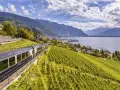 A train travels through lush vineyards overlooking a lake and mountains, part of the scenic Golden Pass Montreux to Interlaken route.