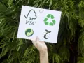 Dłoń trzyma kartkę z symbolami: FSC, recyklingu, zielonej kropki i kiełkującej rośliny. To symbol ekologii.