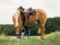 Une jeune femme assise dans l'herbe caresse un Quarter Horse à la robe dorée, sellé pour une promenade.