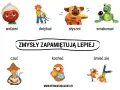Zmysły zapamiętują lepiej! Klasa 2 uczy się o widzeniu, dotykaniu, słyszeniu, smakowaniu, czuciu, kochaniu i śmianiu się.