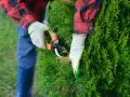 Mit einer Gartenschere wird eine grüne Hecke geschnitten. Die Person trägt Handschuhe und ein kariertes Hemd.
