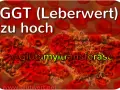 GGT (Leberwert) zu hoch: γ-Glutamyltransferase, ein Enzym, dessen erhöhter Blutwert auf Leberprobleme hinweisen kann.