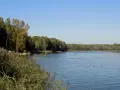Letnie popołudnie nad jeziorem Rogoźnik. Ludzie kąpią się i odpoczywają na plaży wśród zieleni.