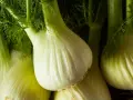 Kilka świeżych, zielonych fenkułów, warzyw o charakterystycznym kształcie i aromacie.
