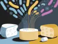 Des bactéries colorées s'échappent d'un cylindre, symbolisant la fermentation des fromages.