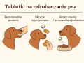 Ilustracja pokazuje trzy sposoby podawania psu tabletki: bezpośrednio, ukrytą w przysmaku i rozkruszoną w jedzeniu.