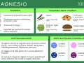 Alimenti ricchi di magnesio e potassio: legumi, verdure a foglia verde, frutta secca, semi oleosi e cereali integrali. Scopri le dosi consigliate.