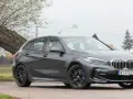 Szare BMW 118i zaparkowane przy przewróconym drzewie.
