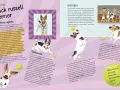 Pies Stella: Czy Twój pupil też może mówić guzikami? Odkryj metodę