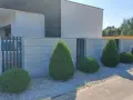 Jak ozdobić płot betonowy i nadać mu wyjątkowy wygląd?