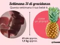 A 31 settimane di gravidanza, il tuo bimbo è grande come un ananas! Pesa circa 1,5 kg.