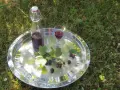 Ein Glas und eine Flasche mit dunklem Saft, garniert mit Jostabeeren und Blättern, auf einem Tablett im Gras. Perfekt für Jostabeere Rezepte.