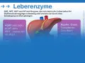 Leberenzyme wie GOT, GPT, GGT und AP sind wichtig. Ihre Blutwerte können auf eine Fettleber hinweisen.