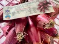 Un fascio di cipolle rosse di Tropea, con la loro etichetta che ne certifica l'origine calabrese.