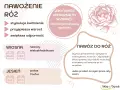Domowy nawóz do róż stymuluje kwitnienie, przyspiesza wzrost i zwiększa odporność. Stosuj wiosną i jesienią.