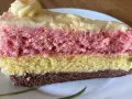 Ein Stück bunte, einfache Torte mit Puddingcreme. Schichten aus Schoko-, gelbem und rosa Biskuit, bedeckt mit cremiger Puddingfüllung.