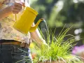 Donna innaffia le piante con un'annaffiatoio giallo. Scopri come togliere il calcare dall'acqua per innaffiare le piante e mantenerle sane.