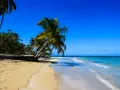 Dominikana najpiękniejsze miejsca: piaszczysta plaża z palmami i turkusowym morzem.