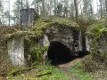 Ruiny twierdzy Osowiec, porośnięte mchem i liśćmi, zapraszają na zwiedzanie. Wejście do bunkra w lesie.