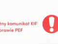 Fizjoterapeuta: Jednolite studia, egzamin, KIF. Czy to dla Ciebie?
