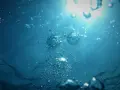 Burbujas ascienden en el agua azul, reflejando la luz del sol. La claridad del agua sugiere un entorno saludable.
