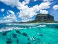 Podwodny świat Mauritiusa zachwyca. Uważaj na prądy, ale podziwiaj ryby i górę Le Morne Brabant.