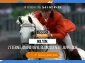 Milton, le cheval blanc légendaire, rival du Petit Jappeloup. Podcast Grand Prix.