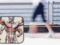 Muscolatura in evidenza, per capire quali muscoli si allenano con la camminata veloce: gambe, glutei, addominali e braccia.