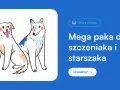 Szczeniak na dworze? Sprawdź, kiedy jest gotowy i jak go przygotować!