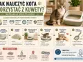 Jak nauczyć dorosłego kota korzystać z kuwety? Instrukcja krok po kroku: wybierz kuwetę, dobierz żwirek, ustaw w dobrym miejscu, pokaż kotu, nagradzaj i bądź cierpliwy, dbaj o czystość.