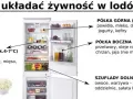 Otwarta lodówka z zaznaczonymi półkami i produktami spożywczymi, obok ryba i miska z twarożkiem.