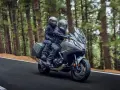 Pareja en moto, disfrutando de un viaje por un bosque. La moto, su primera moto, es gris y moderna, con alforjas.