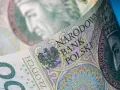 Zbliżenie na polskie banknoty. Kto płaci podatek od pożyczki? Narodowy Bank Polski i jego znaki wodne.